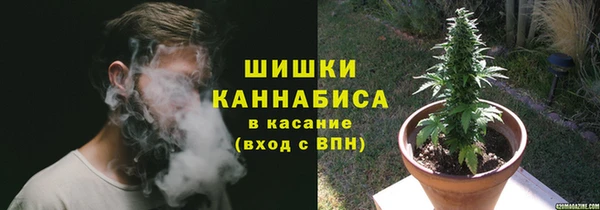 амф Белоозёрский