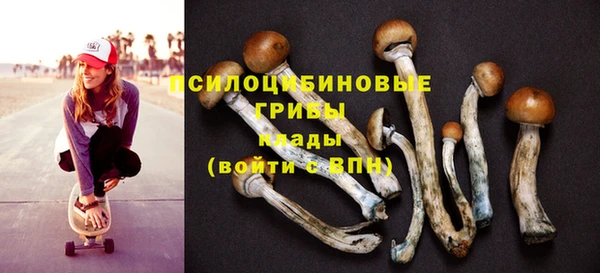 амф Белоозёрский