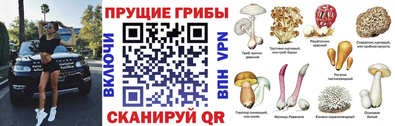 Псилоцибиновые грибы Cubensis  Кондопога 